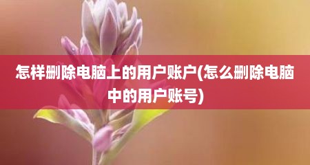 怎样删除电脑上的用户账户(怎么删除电脑中的用户账号)