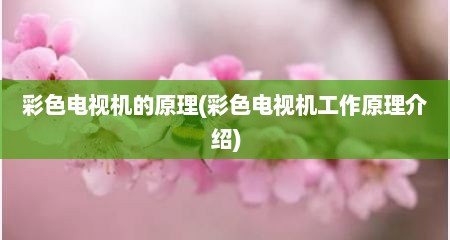 彩色电视机的原理(彩色电视机工作原理介绍)