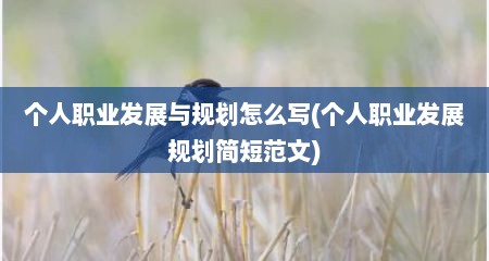 个人职业发展与规划怎么写(个人职业发展规划简短范文)