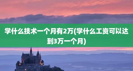学什么技术一个月有2万(学什么工资可以达到3万一个月)