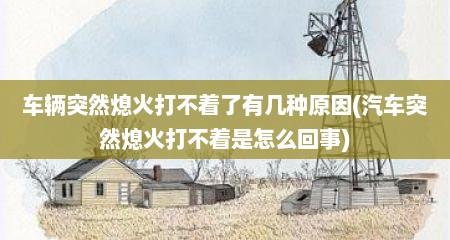 车辆突然熄火打不着了有几种原因(汽车突然熄火打不着是怎么回事)