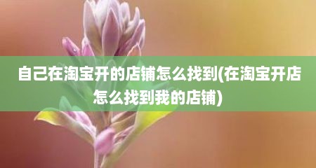 自己在淘宝开的店铺怎么找到(在淘宝开店怎么找到我的店铺)