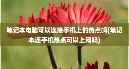笔记本电脑可以连接手机上的热点吗(笔记本连手机热点可以上网吗)