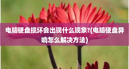 电脑硬盘损坏会出现什么现象?(电脑硬盘异响怎么解决方法)