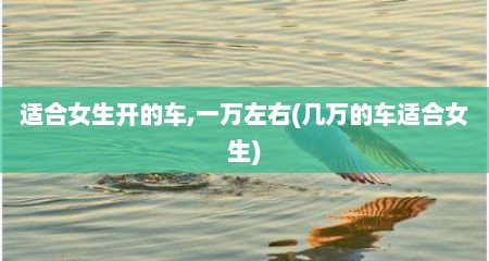 适合女生开的车,一万左右(几万的车适合女生)