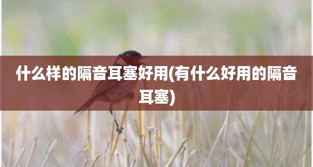 什么样的隔音耳塞好用(有什么好用的隔音耳塞)