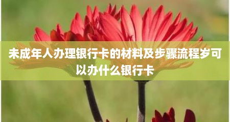 未成年人办理银行卡的材料及步骤流程岁可以办什么银行卡