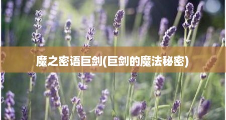 魔芝密语巨剑(巨剑的魔法秘密)