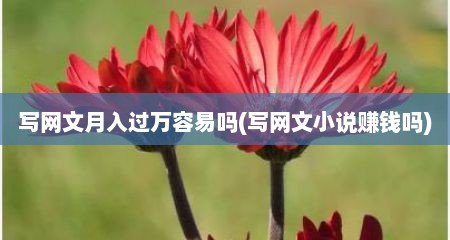 写网文月入过万容易吗(写网文小说赚钱吗)