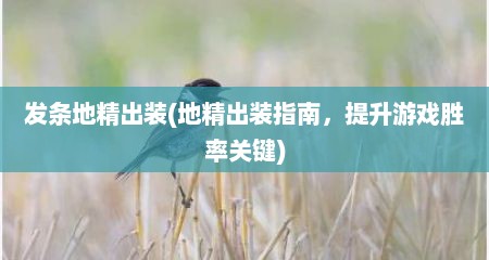 发条地精出装(地精出装指南，提升游戏胜率关键)