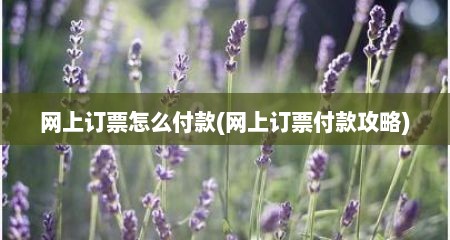 网上订票怎么付款(网上订票付款攻略)