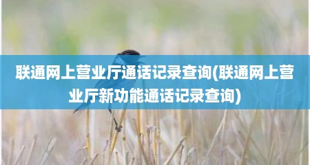 联通网上营业厅通话记录查询(联通网上营业厅新功能通话记录查询)