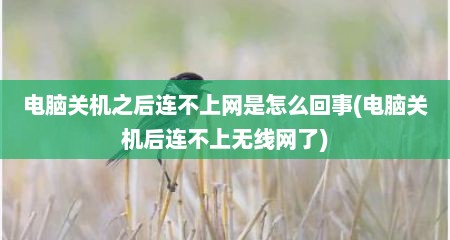 电脑关机之后连不上网是怎么回事(电脑关机后连不上无线网了)