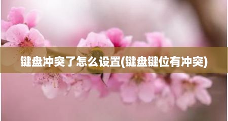 键盘冲突了怎么设置(键盘键位有冲突)