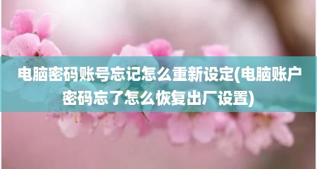 电脑密码账号忘记怎么重新设定(电脑账户密码忘了怎么恢复出厂设置)