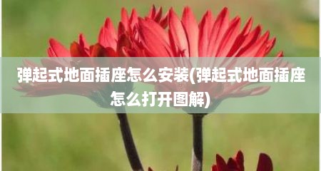 弹起式地面插座怎么安装(弹起式地面插座怎么打开图解)