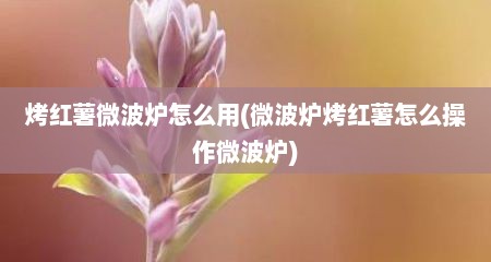 烤红薯微波炉怎么用(微波炉烤红薯怎么操作微波炉)