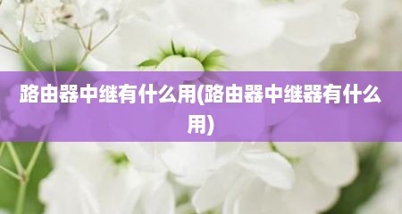 路由器中继有什么用(路由器中继器有什么用)