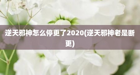逆天邪神怎么停更了2020(逆天邪神老是断更)