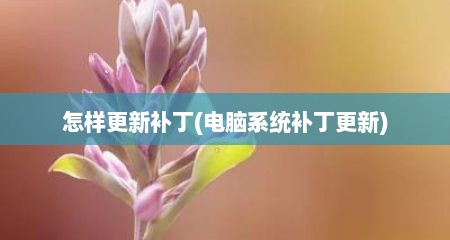 怎样更新补丁(电脑系统补丁更新)