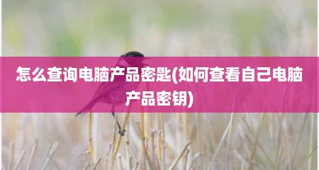 怎么查询电脑产品密匙(如何查看自己电脑产品密钥)