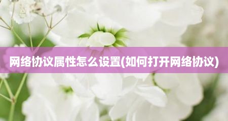 网络协议属性怎么设置(如何打开网络协议)