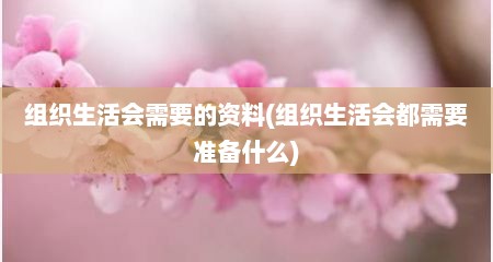 组织生活会需要的资料(组织生活会都需要准备什么)