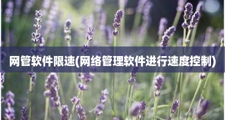 网管软件限速(网络管理软件进行速度控制)