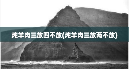 炖羊肉三放四不放(炖羊肉三放两不放)