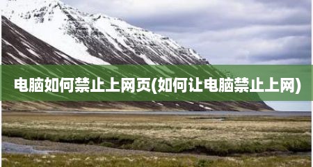 电脑如何禁止上网页(如何让电脑禁止上网)