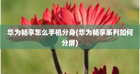 华为畅享怎么手机分身(华为畅享系列如何分屏)