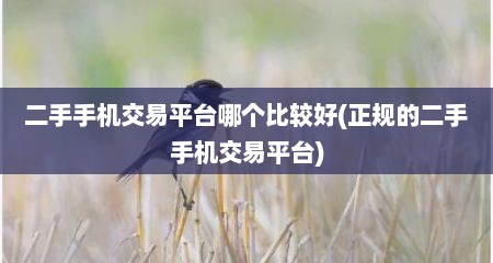 二手手机交易平台哪个比较好(正规的二手手机交易平台)