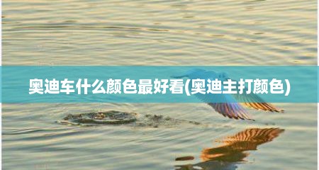 奥迪车什么颜色最好看(奥迪主打颜色)
