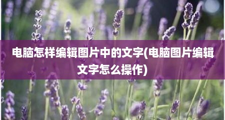 电脑怎样编辑图片中的文字(电脑图片编辑文字怎么操作)