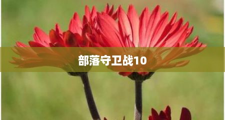 部落守卫战10