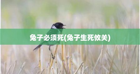 兔子必须死(兔子生死攸关)