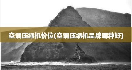 空调压缩机价位(空调压缩机品牌哪种好)