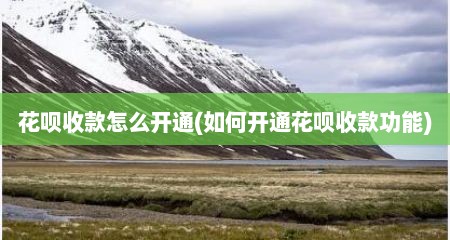 花呗收款怎么开通(如何开通花呗收款功能)