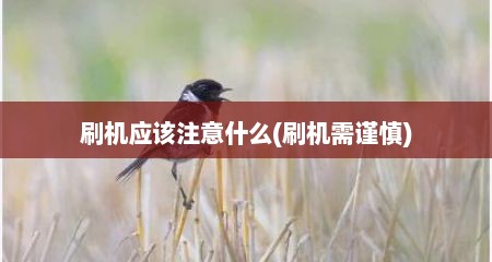 刷机应该注意什么(刷机需谨慎)