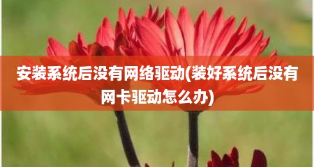 安装系统后没有网络驱动(装好系统后没有网卡驱动怎么办)