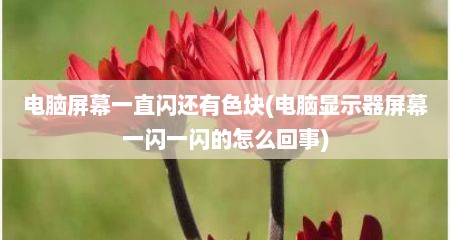 电脑屏幕一直闪还有色块(电脑显示器屏幕一闪一闪的怎么回事)