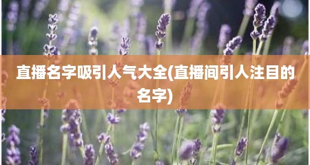 直播名字吸引人气大全(直播间引人注目的名字)