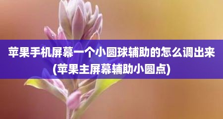 苹果手机屏幕一个小圆球辅助的怎么调出来(苹果主屏幕辅助小圆点)