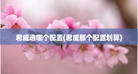 君威选哪个配置(君威那个配置划算)