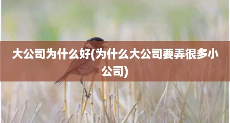 大公司为什么好(为什么大公司要弄很多小公司)