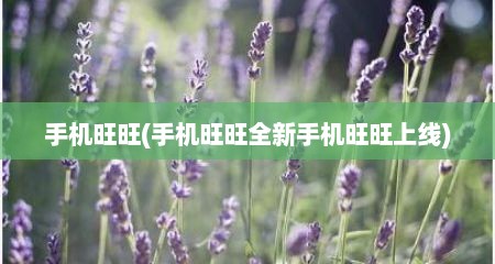 手机旺旺(手机旺旺全新手机旺旺上线)