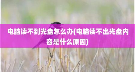 电脑读不到光盘怎么办(电脑读不出光盘内容是什么原因)