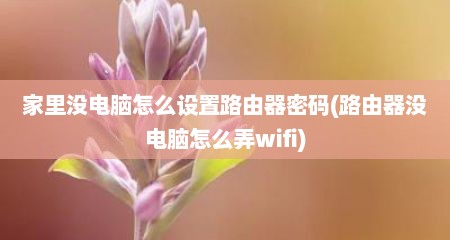 家里没电脑怎么设置路由器密码(路由器没电脑怎么弄wifi)