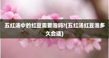 五红汤中的红豆需要泡吗?(五红汤红豆泡多久合适)