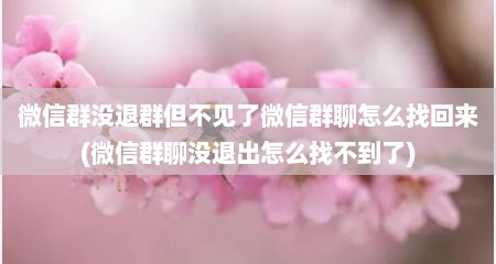 微信群没退群但不见了微信群聊怎么找回来(微信群聊没退出怎么找不到了)